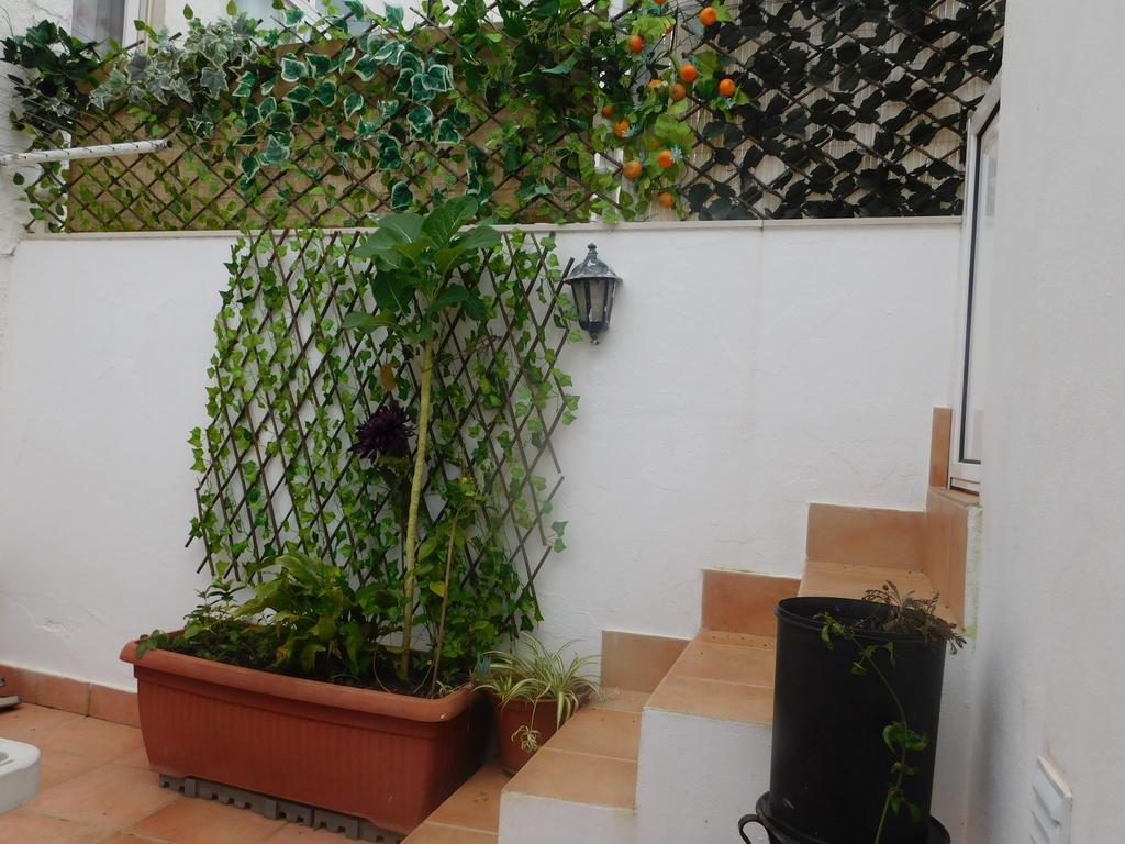Dinas Casa de hóspedes